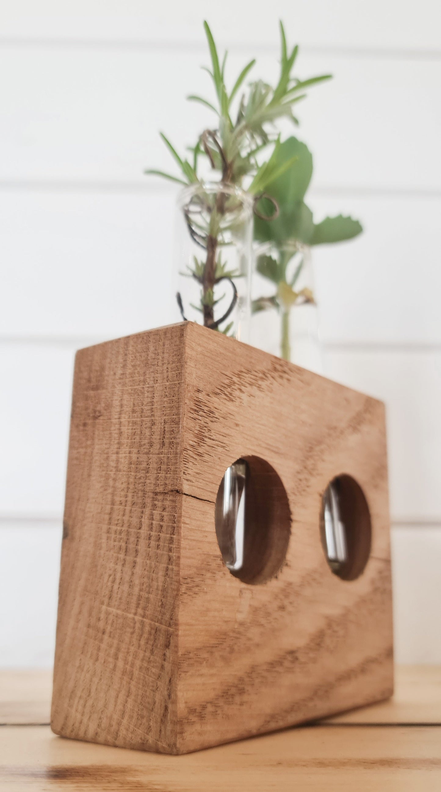 Handcrafted Glass Tube Plant Propagation Stations,Stem Cuttings Holder & Oak Stand Set - Ideal for Plant Lover's