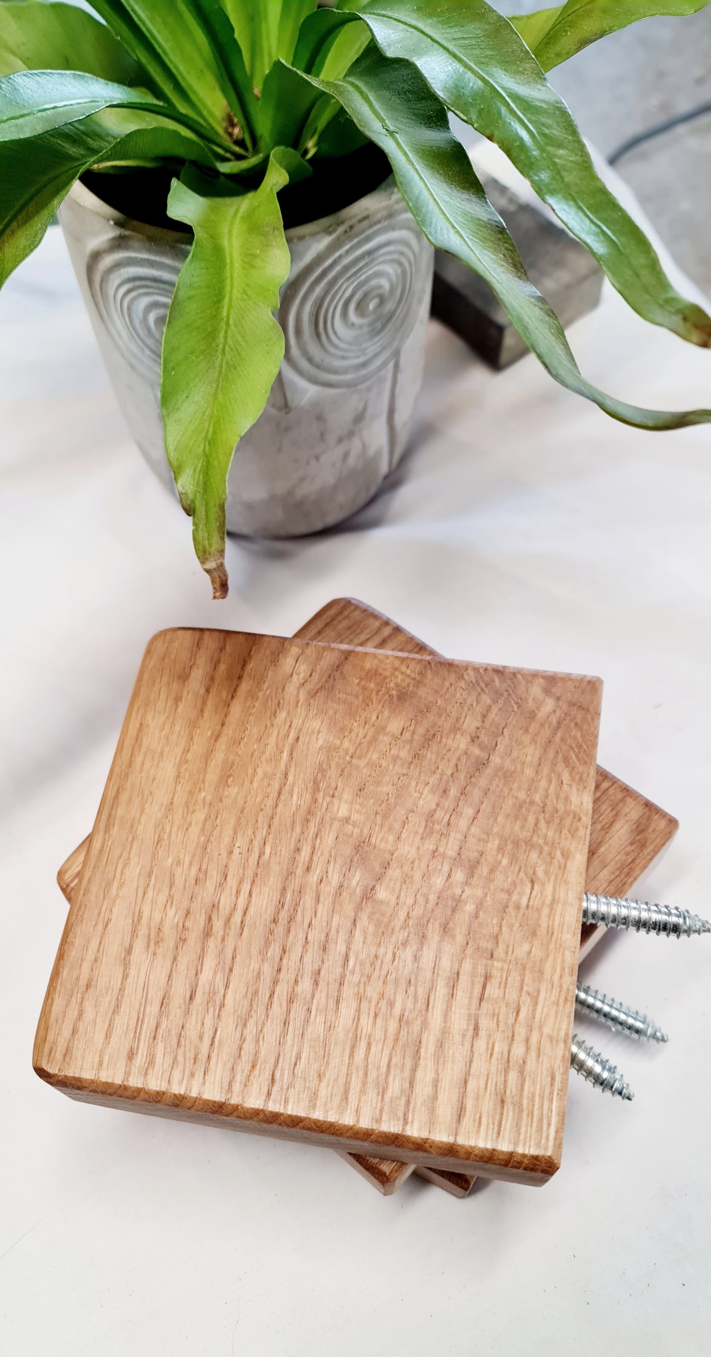 Mini oak shelf with screw in back 