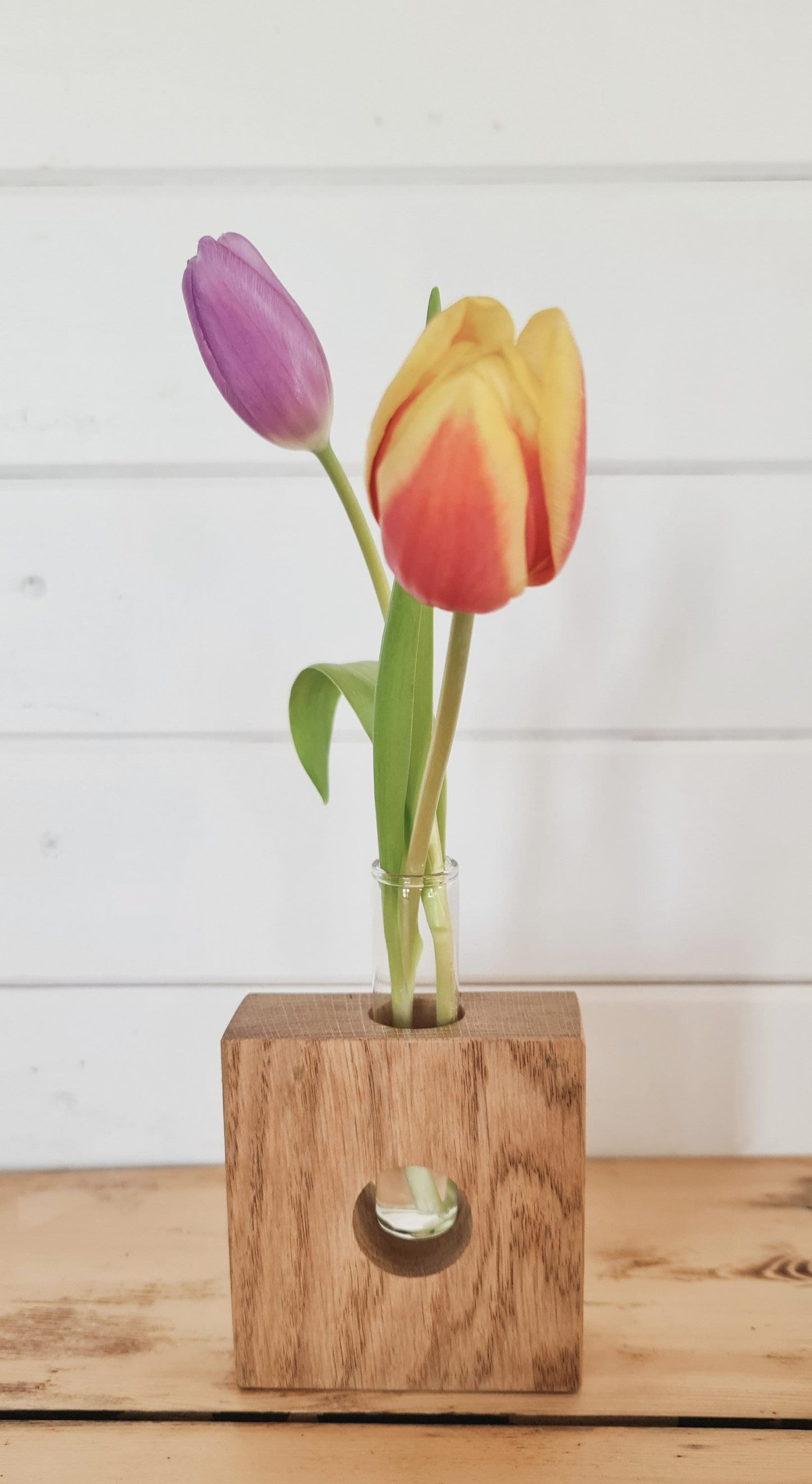 Handcrafted Glass Tube Plant Propagation Stations,Stem Cuttings Holder & Oak Stand Set - Ideal for Plant Lover's