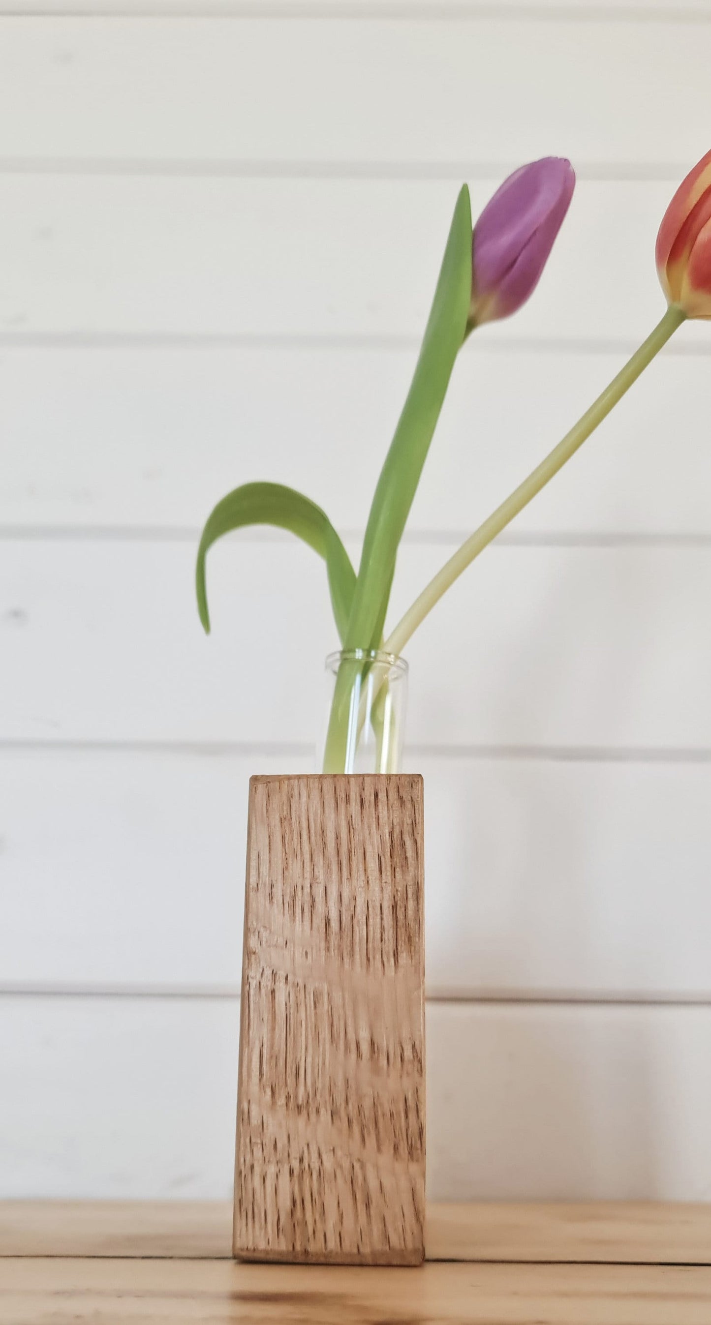 Handcrafted Glass Tube Plant Propagation Stations,Stem Cuttings Holder & Oak Stand Set - Ideal for Plant Lover's