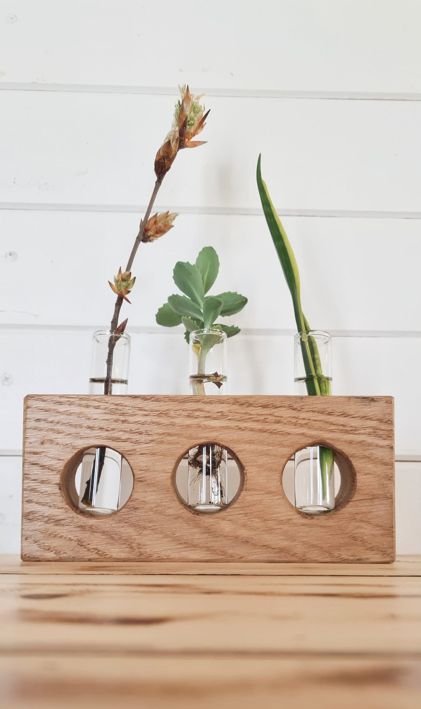 Handcrafted Plant Propagation Stations, Vase Set , Solid Oak Plant Stand, Perfect Gift for Plant Lovers