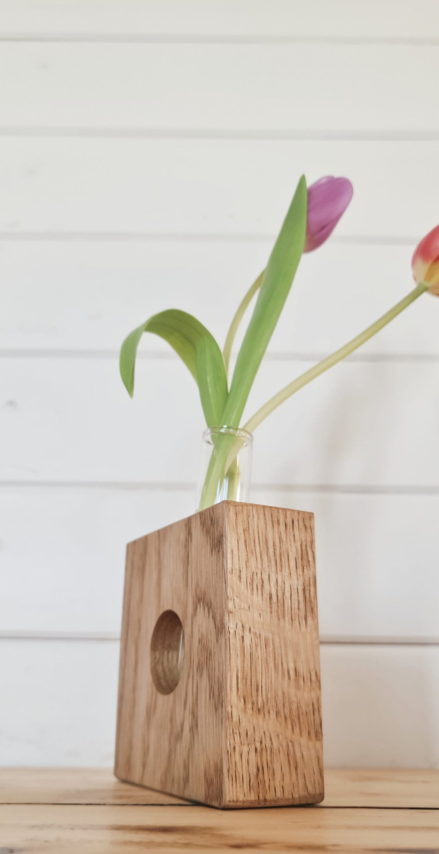 Handcrafted Glass Tube Plant Propagation Stations,Stem Cuttings Holder & Oak Stand Set - Ideal for Plant Lover's