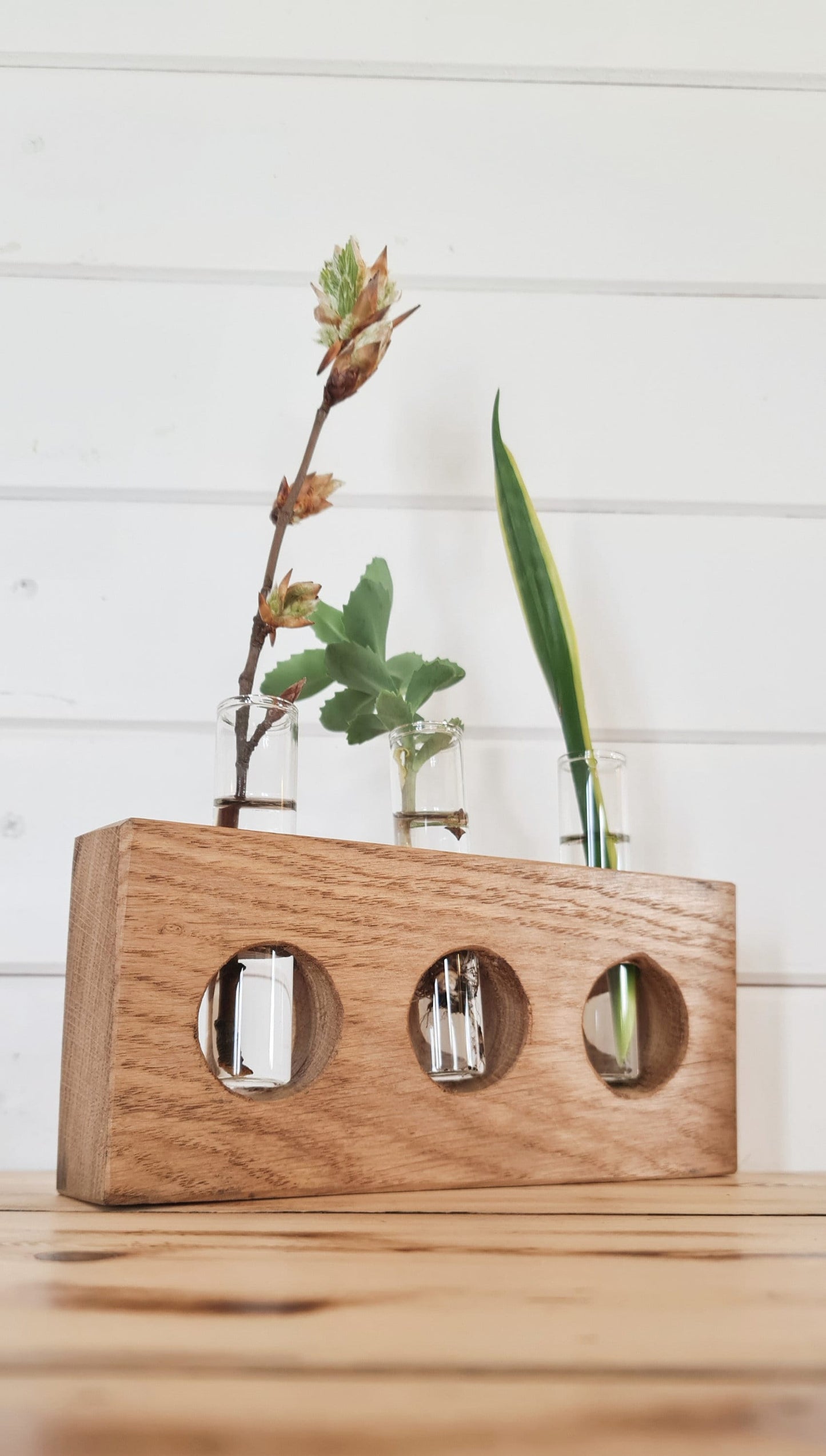 Handcrafted Plant Propagation Stations, Vase Set , Solid Oak Plant Stand, Perfect Gift for Plant Lovers